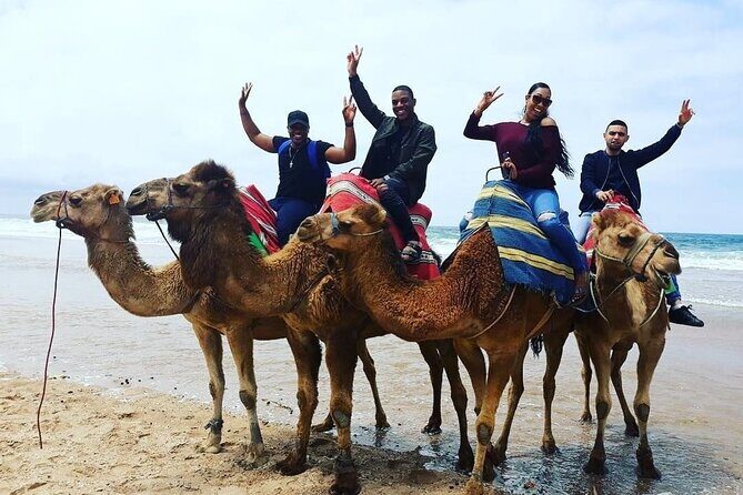 Vip Full Day Private Tangier Tour From Malaga All Inclusive - Exploring Tangier’s Natural Marvels