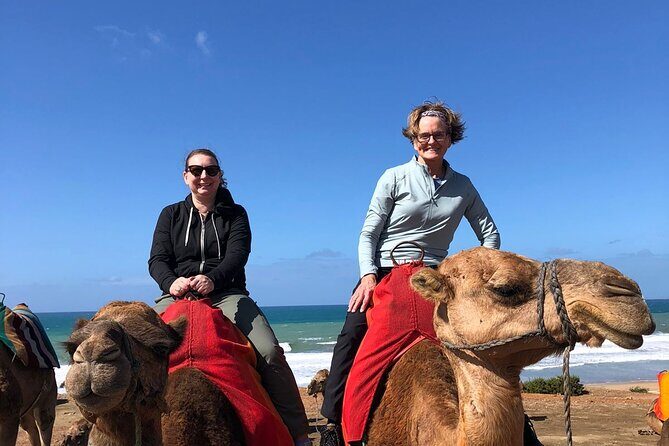 Vip Full Day Private Tangier Tour From Malaga All Inclusive - What to Expect from the Tour