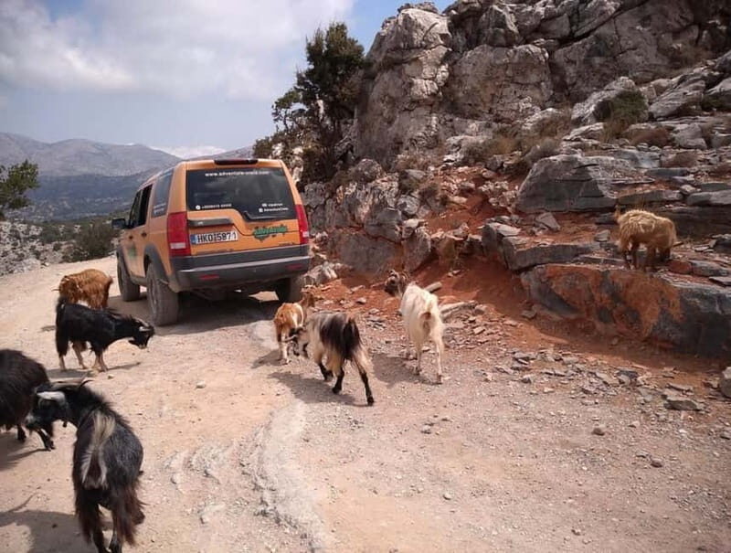 VIP Full-Day Private Tour (See the best with Professionals) - Who Is This Tour Best For?