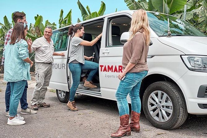 VIP Grand Tour Isla de Tenerife from South Tenerife - An In-Depth Look at the VIP Grand Tour