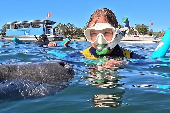 VIP Guided Swim with Manatee Tour Crystal River FL Free Photos - Key Points