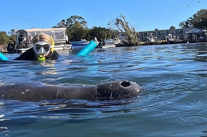 VIP Guided Swim with Manatee Tour Crystal River FL Free Photos - Price and Value: Is It Worth It?