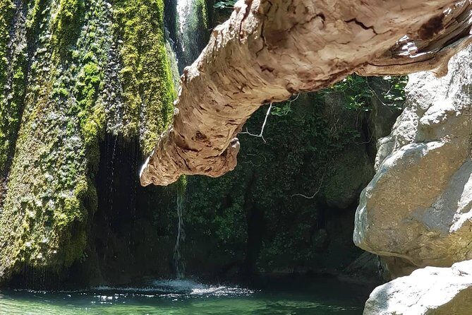 VIP Luxury Private Tour- Half Day - 4x4 Excursion with Land Rover - Who Would Love This Tour?