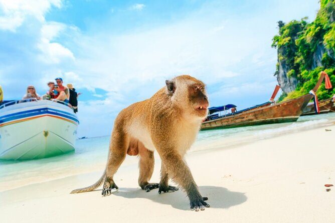 VIP Private Boat to Phi Phi Island: Snorkeling + Land Tour - FAQ