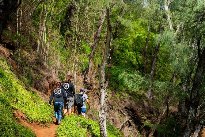 VIP Private Full-Day Road to Hana Tour from Lahaina-Kapalua - FAQ