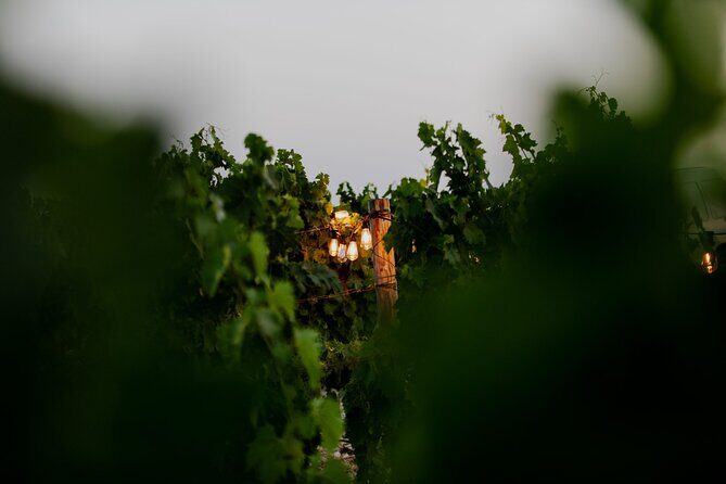 VIP Private Split/Trogir: Chef-Prepared Meal With Wine, Sea View - The Sum Up: Who Will Love This Tour?