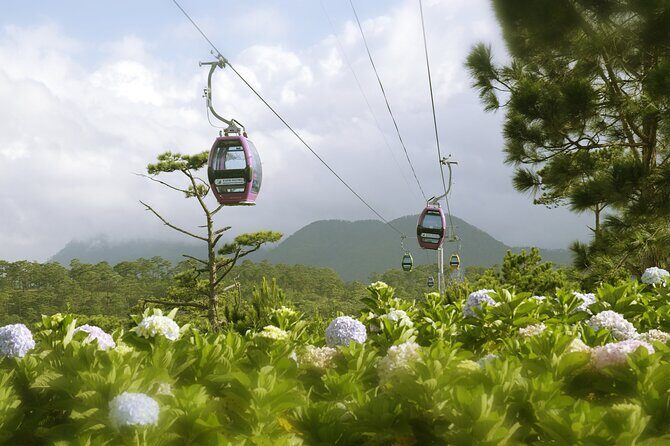 VIP Private Tour in Dalat City and Waterfall - Key Points
