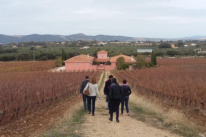 VIP Ronda Wine Tour and Tasting and Gourmet Lunch Experience with Winemaker - Pricing and Value