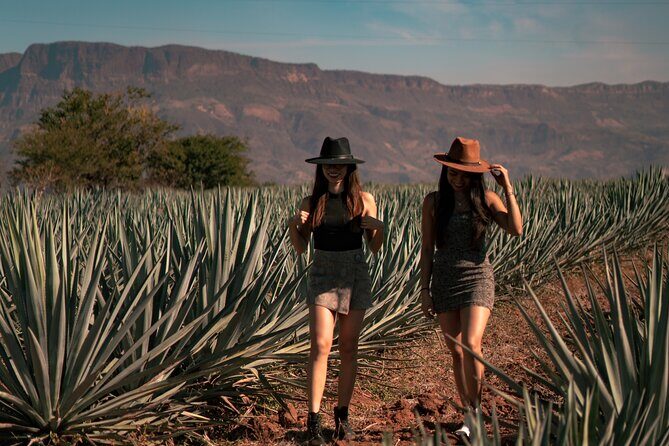 Vip Tequila Experience - Transportation & Group Size