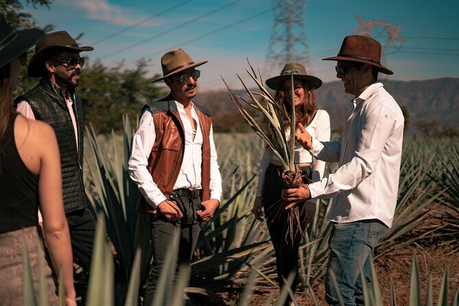 Vip Tequila Experience - Pricing & Value