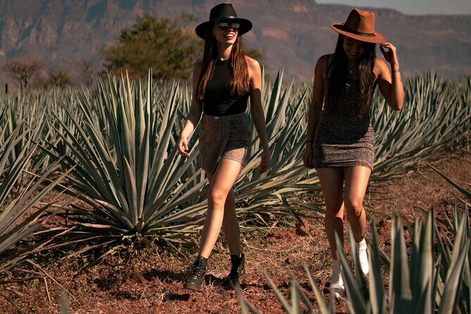 VIP Tequila Night Tour with Dinner and Tasting - An In-Depth Look at the Experience