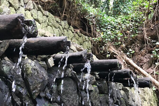 VIP tour of La Gomera from Tenerife - What Past Travelers Say