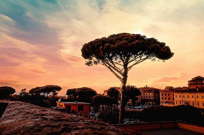 VIP Tour of the Roman Castles - Key Points