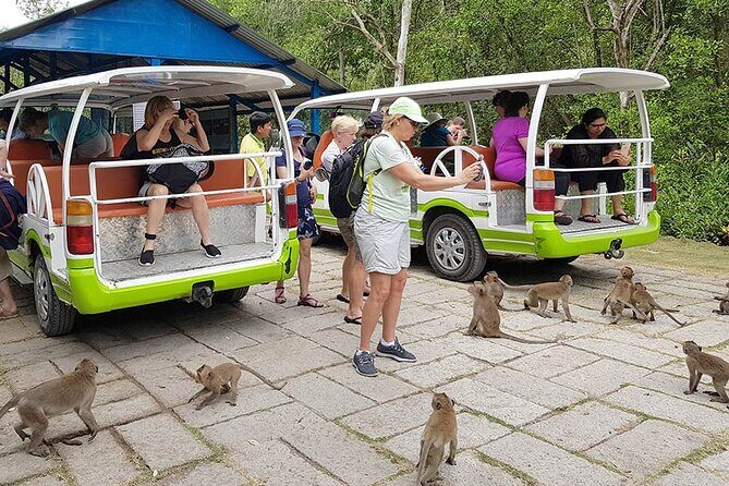 VIP Tour to Can Gio Mangrove Forest by Speed Boat - Who Would Love This Tour?