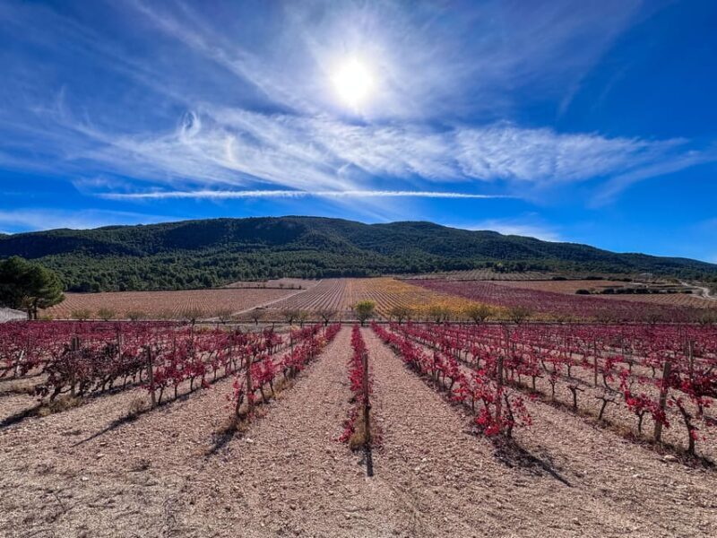 VIP Wine Experience | Costa Blancas Hidden Estates - Key Points