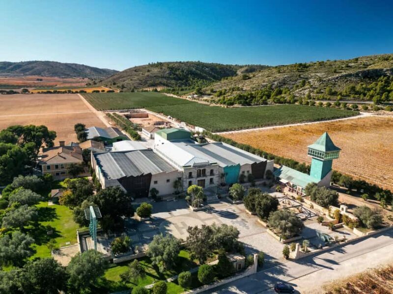 VIP Wine Experience | Costa Blancas Hidden Estates - Exploring the Itinerary: A Closer Look at What You’ll Experience