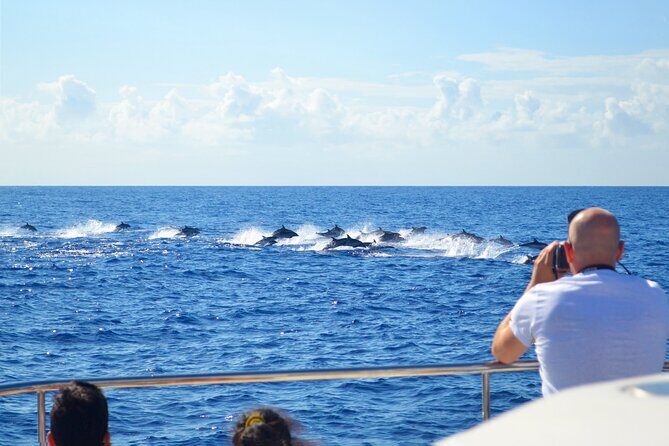 VipDolphins Luxury Whale Watching - Food, Drinks, and Overall Service