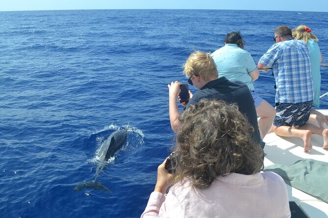 VipDolphins Luxury Whale Watching - Who Will Love This Tour?