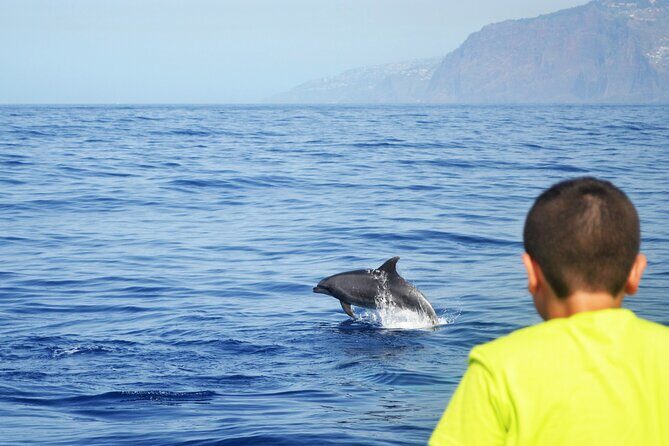VipDolphins Luxury Whale Watching - FAQ