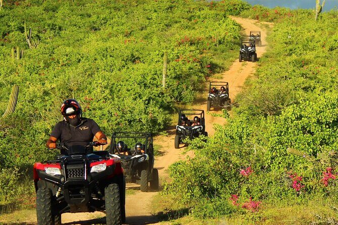 Viper Trail UTV Small-Group Experience in Cabo San Lucas - FAQ