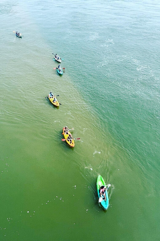 Virginia Beach: Dolphin Kayak Tour: This is a Workout! - FAQ