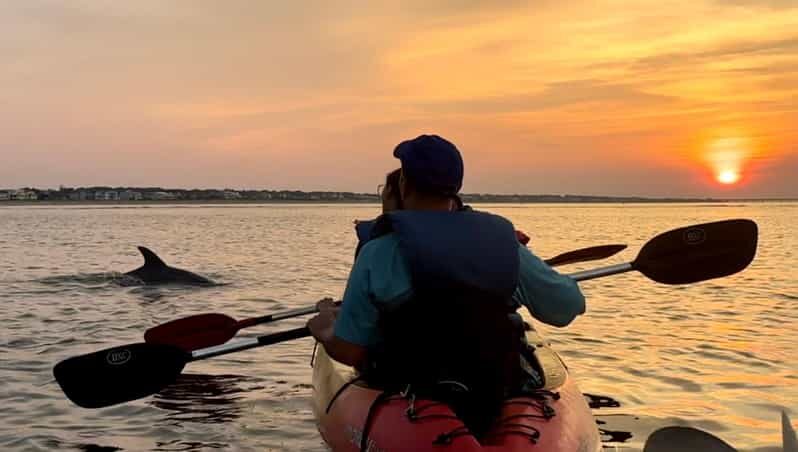 Virginia Beach: Dolphin Kayak Tour: This is a Workout! - Key Points