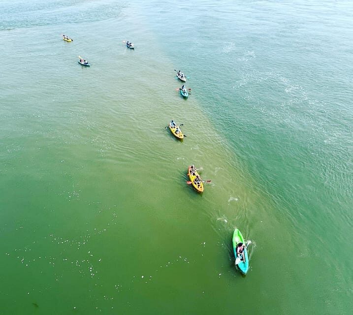 Virginia Beach: Dolphin Kayak Tour: This is a Workout! - FAQs