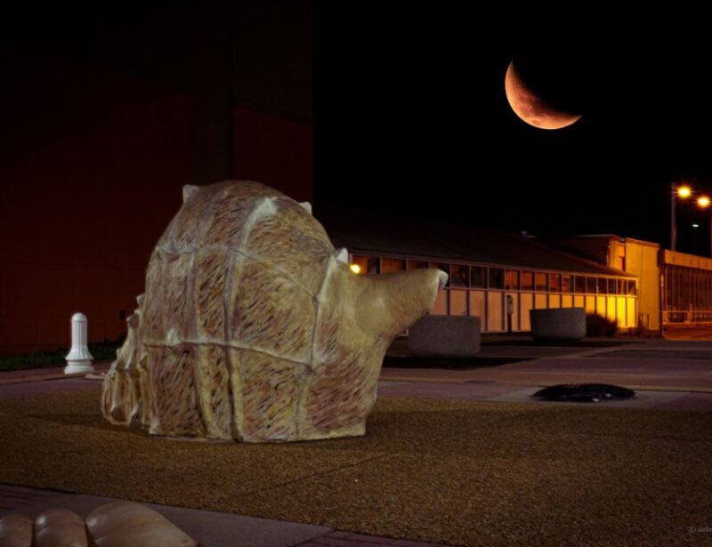 Virginia Beach: Neptune Ghosts Haunted Walking Tour - Authenticity and the Guide Experience
