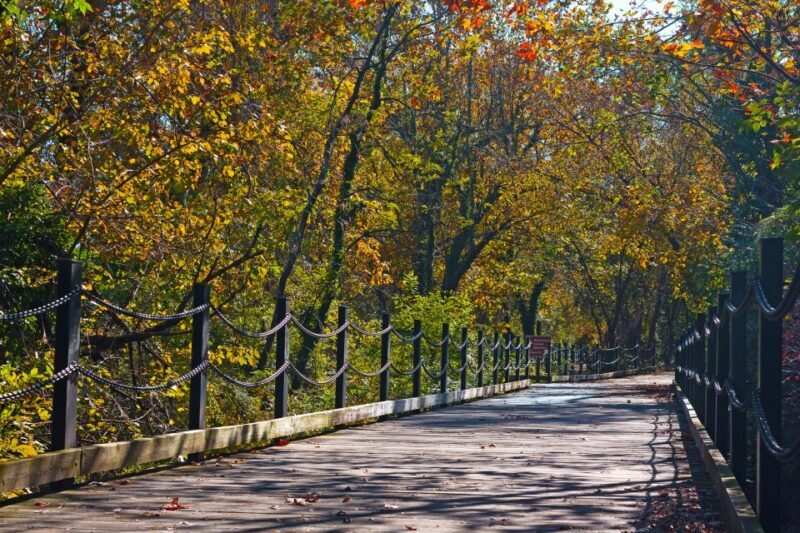 Virginia Capital Trail: Nature/History tour via bike w/ wine - Unpacking the Experience