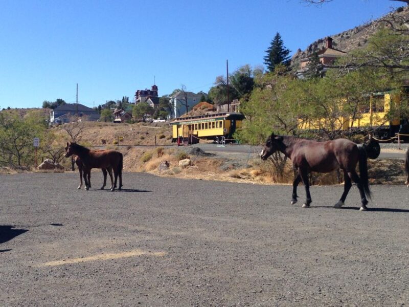 Virginia City Day Tour From Lake Tahoe - A Deep Dive into the Virginia City Day Tour Experience
