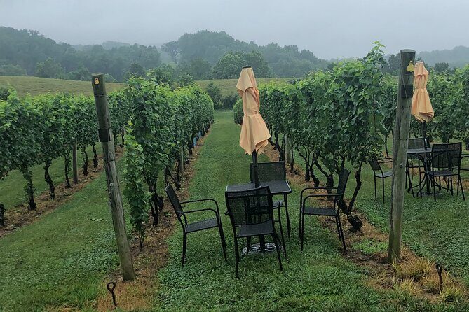 Virginia Winery Excursion By Luxury Vehicle 2-Wineries - Introduction
