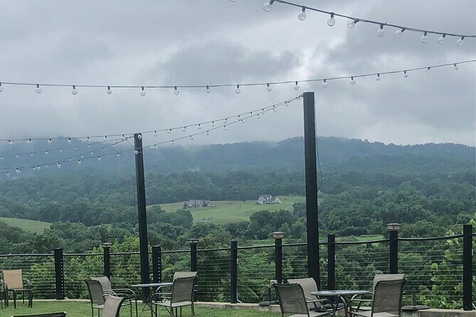 Virginia Winery Excursion by Luxury Vehicle Three wineries - Key Points