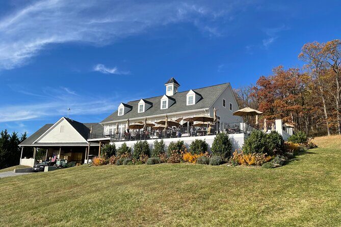 Virginia Winery Excursion by Luxury Vehicle Three wineries - The Sum Up