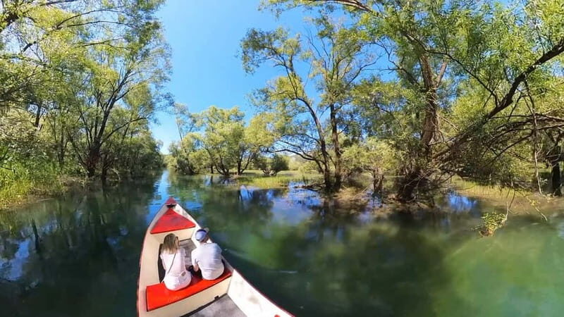 Virpazar: Amazon wilderness speed boat cruise - Key Points