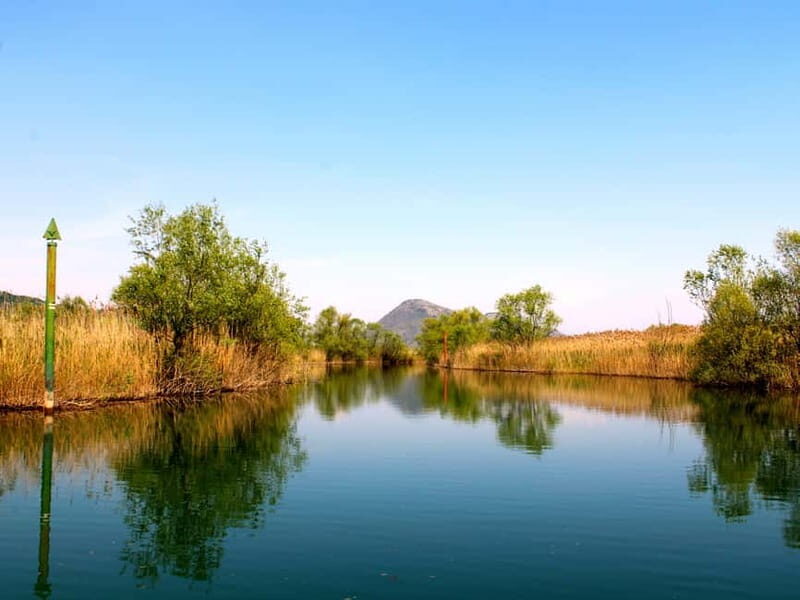 Virpazar: Guided Lake Skadar Cruise and Crnojevia River - An In-Depth Review of the Lake Skadar Boat Tour