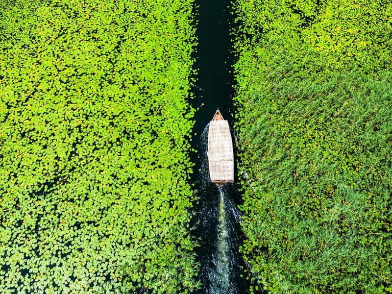 Virpazar: Lake Skadar Private Wildlife Cruise & Wine Tasting - Authentic Insights from Reviews