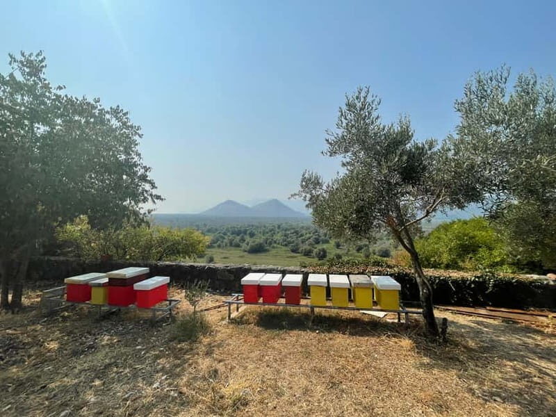 Virpazar: Skadar Lake by Boat and Kom Monastery Guided Tour - The Value and Overall Experience