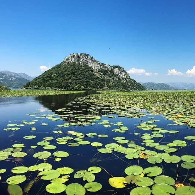 Virpazar: Skadar Lake National Park Guided Boat Tour - The Sum Up