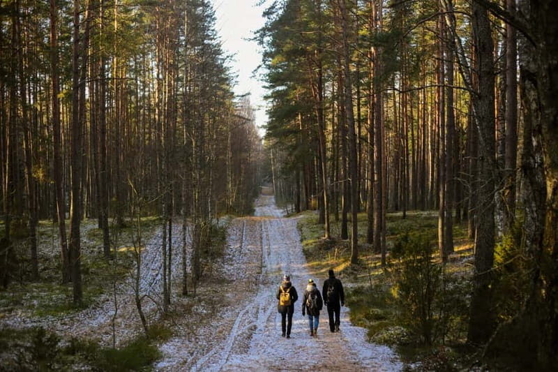 Visaginas: Wild Nature Hiking at Grauts Regional Park - In-Depth Look at the Grauts Regional Park Hiking Tour