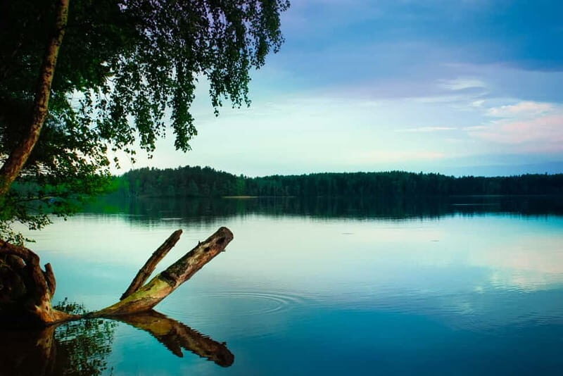 Visaginas: Wild Nature Hiking at Grauts Regional Park - Who Would Love This Tour?