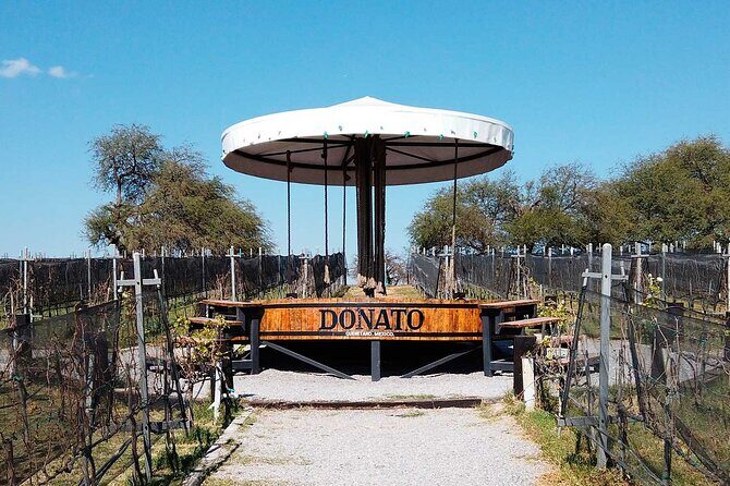 Visit 1 Cheese Factory and 2 Vineyards, starting from Querétaro - Who Is This Tour Best For?