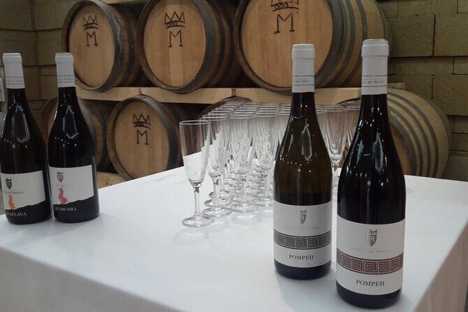 Visit 2 wine producers with tasting and transportation included - An In-Depth Look at the Tour Experience