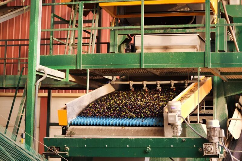 Visit an almazara + extra virgin olive oil tasting: Baeza - Why This Tour Offers Great Value