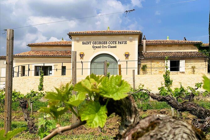 Visit and Tasting Château Saint-Georges Cote Pavie, Grand Cru Classé - Experience the Charm of Château Saint-Georges Côte Pavie: A Detailed Review