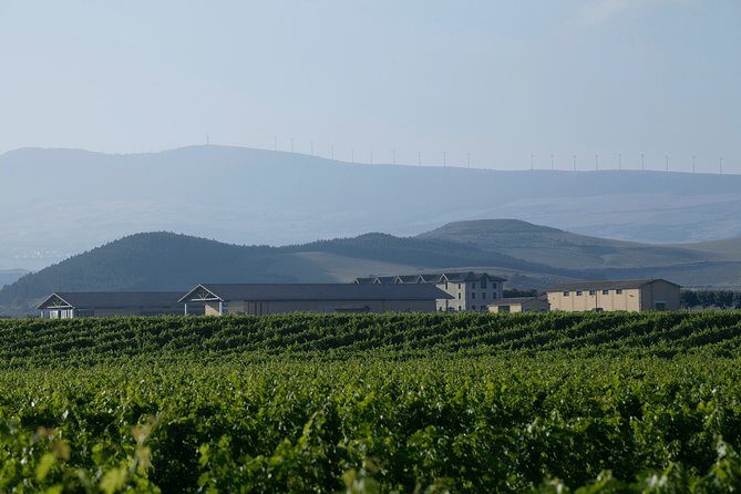 Visit and tasting in Otazu - The Tasting Experience: Savoring Fine Wines and Pintxos