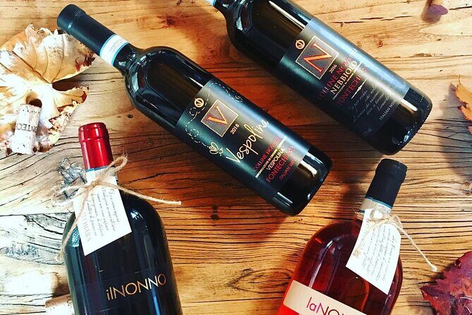 Visit and tasting of 3 D.O.C.wines Fontechiara - What to Expect from the Fontechiara Wine Tour