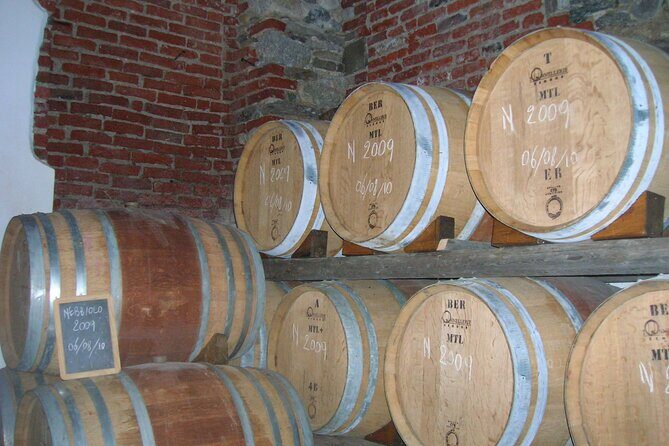 Visit and tasting of 4 D.O.C.wines Fontechiara - Exploring the Fontechiara Winery: A Genuine Taste of Italy’s Wine Heritage