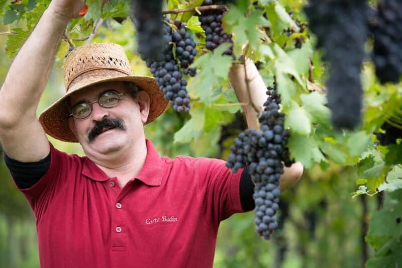 Visit and tasting with the producer - Key Points