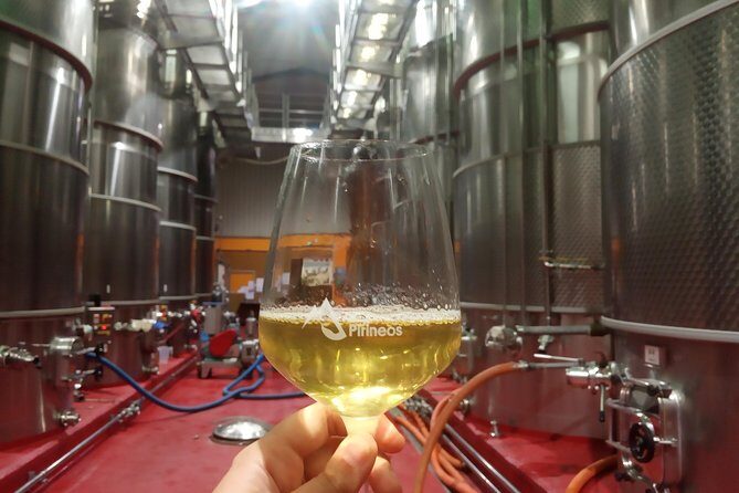 Visit and wine tasting at BODEGA PIRINEOS - Practical Details: What You Need to Know