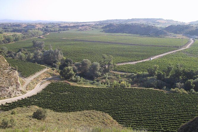 Visit and wine tasting at BODEGA PIRINEOS - Who Should Consider This Tour?